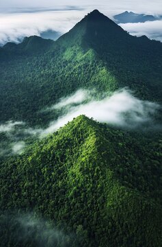In the rainforest of Sierra Leone, there is an endless mountain range covered with dense green forests and clouds floating within.