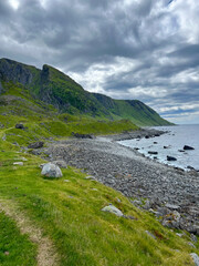 Plage de galets et falaises verdoyantes en Norvège