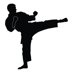 Dynamic silhouette of a martial artist performing a powerful side kick silhouette