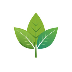 Stylized Illustration of Three Green Leaves on a Stem Symbolizing Growth and Freshness