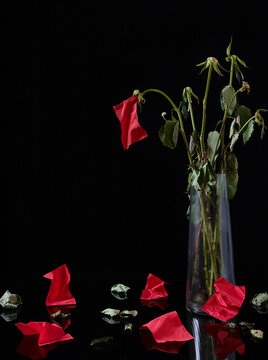 A bouquet of wilted red roses but the  roses are red flags
