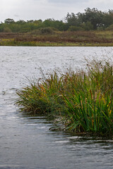 Lakes and a Bird Hide from Hauxley Nature Reserve, September 2025. 