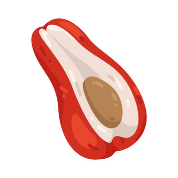 Illustration of Java apple with bright red color