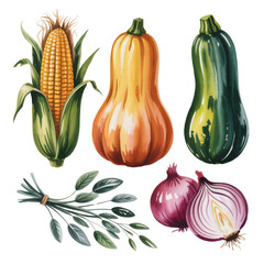 Fresh harvest vegetables illustration with corn on the cob, zucchini, butternut squash, red onion and herbs, rustic autumn farm produce clipart, seasonal food artwork for thanksgiving and farmers mark