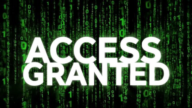 Access Granted Digital Rain.