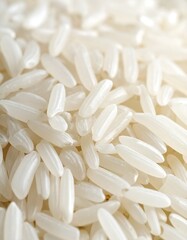 Close-up of uncooked white rice grains