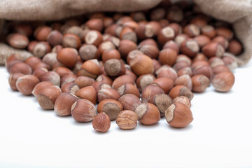 Sack of ripe dry hazelnuts in shell isolated on white background.