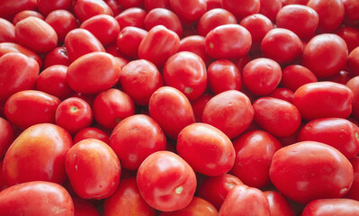 Close up photo of organic ripe tomatoes, selective focus.