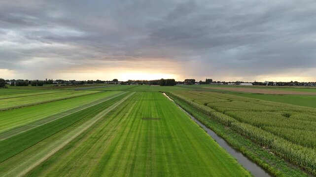 4K aerial drone footage of Aalsmeer, Netherlands, showcasing the Dutch countryside, green fields, and a stunning sunset