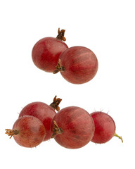 Gooseberry berries isolated on a white background