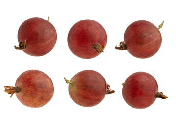 Gooseberry berries isolated on a white background
