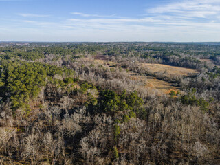 Aerial landscape suburban residence forest winter after Hurricane Helene Evans Augusta Georgia