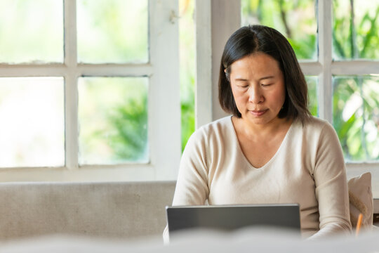 Woman Working on Laptop in Natural Caf&eacute;