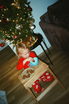 Holiday Cookie Dunk Under the Tree