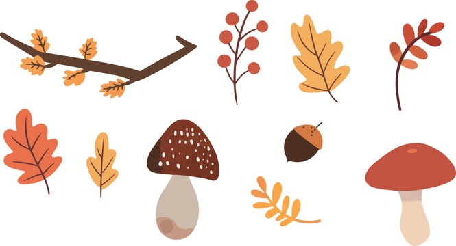 set of cartoon drawn Autumn clipart