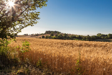 Countryside landscape with a harvested golden field in the foreground and a view of an hill with...