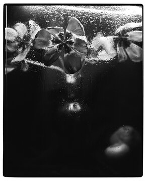 Raindrops on Glass with Flowers in Soft Focus

