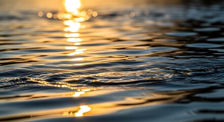 Golden Sunset Reflections Dancing on Rippling Water Surface