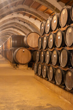 Visit of wine cellar with old large oak barrels, production of fortified dry or sweet tasty marsala wine in Marsala, Sicily, Italy