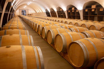 Visit of undergroud caves witn wine barrels in Cahors wine production area, red malbec wines, wine tasting in chateau, France