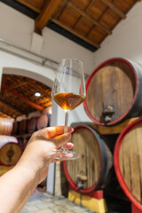 Visit of wine cellar with old large oak barrels, glass of fortified dry or sweet tasty marsala wine from barrels in Marsala, Sicily, Italy
