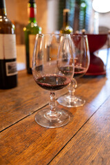 Visit of chateau with undergroud caves and wine tasting  in Cahors wine production area, white, rose and red malbec wines, France