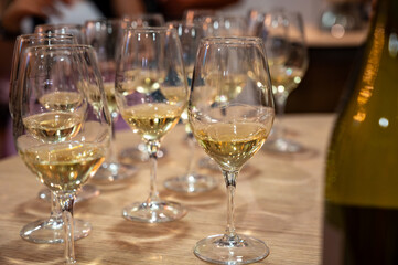 Tasting of Collioure AOC and Banyuls AOC white, rose and red wines, natural sweet grand cru Banyuls fortified dessert wine from old vines from slopes of Catalan Pyrenees in Roussillon, France