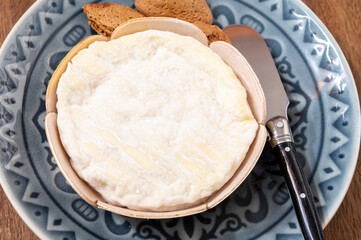 French cheeses collection, Saint-Felicien cow's milk cheese with white mold from Rhone-Alpes region of France