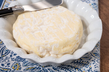 French cheeses collection, Saint-Felicien cow's milk cheese with white mold from Rhone-Alpes region of France