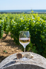 Glass of dry wine from vineyards of Pouilly-Fume appelation and view on vineyards and  flint pebbles stones soil, near Pouilly-sur-Loire, Burgundy, France.