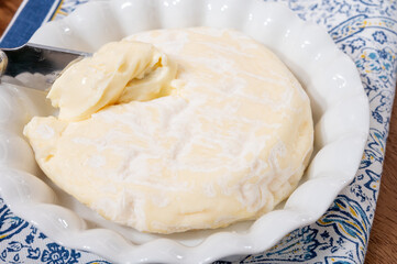 French cheeses collection, Saint-Felicien cow's milk cheese with white mold from Rhone-Alpes region of France