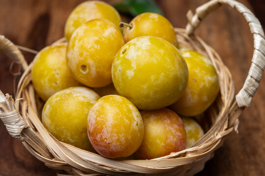 Sweet ripe small yellow mirabelle plums, healthy organic fruits close up
