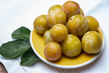 Sweet ripe small yellow mirabelle plums, healthy organic fruits close up