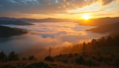 Obraz premium Sunrise illuminates fog-covered hills with golden light. Peaceful morning landscape unfolds with gentle mist rolling through valleys, forests. Nature awakens, offering serene views for travel,