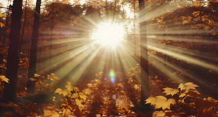 Golden Autumn Forest Sunlight Rays Shining Through Trees and Fallen Leaves, Creating a Magical and Serene Atmosphere