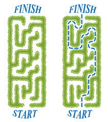 Green vertical hedge maze vector Illustration. Top view of the open air rectangular labyrinth made of garden bushes and grass. Education logic game for kids isolated on white backdrop.