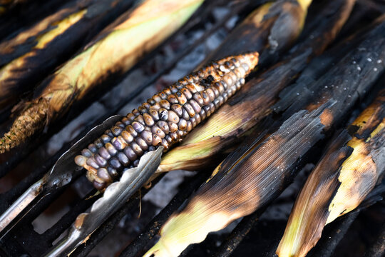 Purple heirloom corn charred on the grill