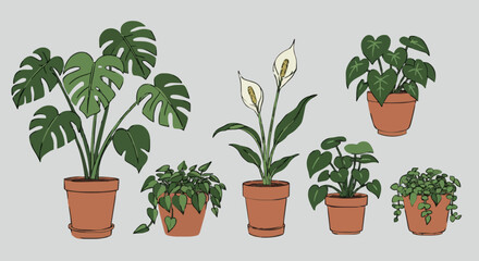 Fototapeta premium Icon set indoor plants