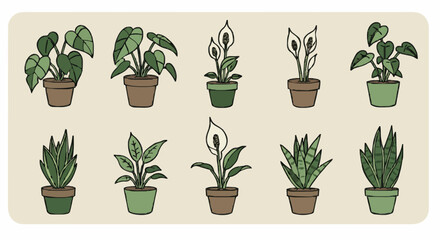 Icon set indoor plants