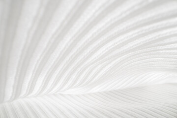 Obraz premium Abstract White Fabric Texture and Folds