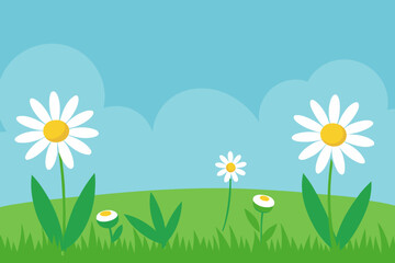 A cartoon grassy meadow with daisies vector illustration