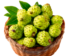 A basket filled with fresh green noni fruits and leaves, displayed against a transparent background.