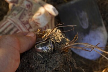 Close up of gloved hand holding antique silver ring with intricate engraving and dark gemstone found while metal detecting. Ancient ruins, archaeological treasure hunt and historical research.
