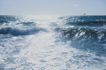 Landscape of the raging sea