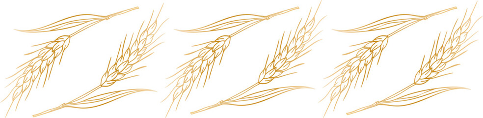 elegant vector abstract golden wheat harvest pattern ornate border for design and decor