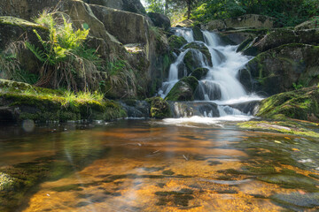 Wasserfall mit glasklarem Wasser in der Natur