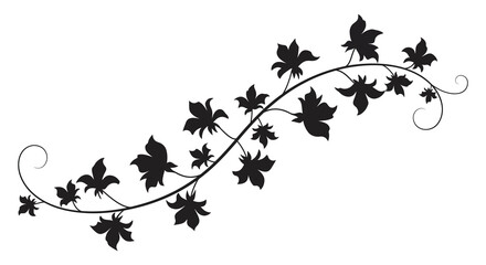 elegant black vine with leaves curving gracefully across white background