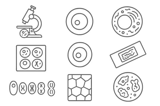 Cell Biology Icons. Line style icons of cell biology and lab analysis: microscope cell view, nucleus icon, cytoplasm diagram,