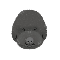 Adorable Hand-Drawn Cartoon Black Poodle Puppy, Cute Dog Illustration, Playful Pet Character for Kids and Creative Design, Children's Book Design, Transparent Png