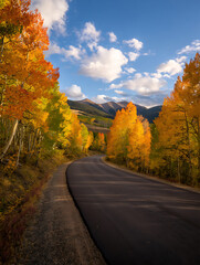 Fototapeta premium Scenic mountain road lined with vibrant autumn trees under a blue sky